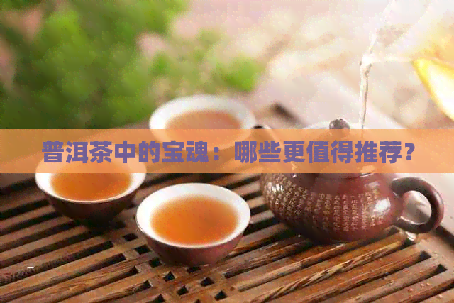 普洱茶中的宝魂：哪些更值得推荐？