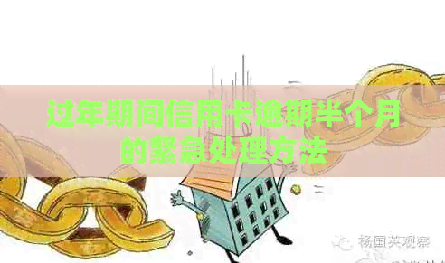 过年期间信用卡逾期半个月的紧急处理方法