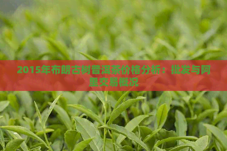 2015年布朗古树普洱茶价格分析：批发与阿里交易概况