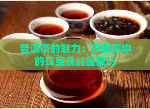 普洱茶的魅力：探索茶中的瑰宝及品鉴技巧