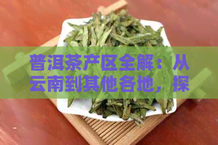 普洱茶产区全解：从云南到其他各地，探寻全球知名的普洱茶产地