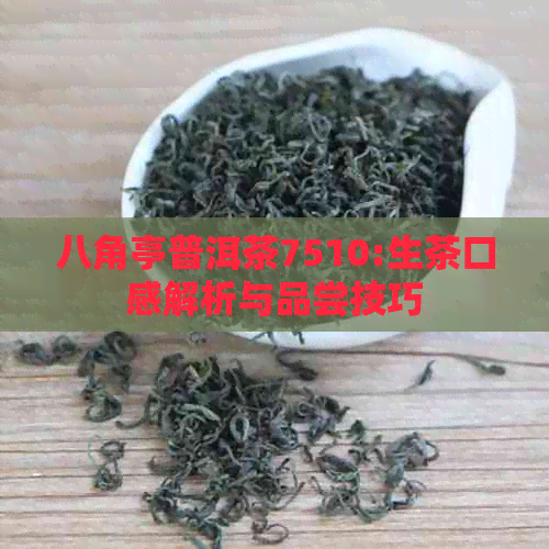 八角亭普洱茶7510:生茶口感解析与品尝技巧