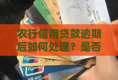 农行信用贷款逾期后如何处理？是否可以申请分期还款？解答您的全部疑问