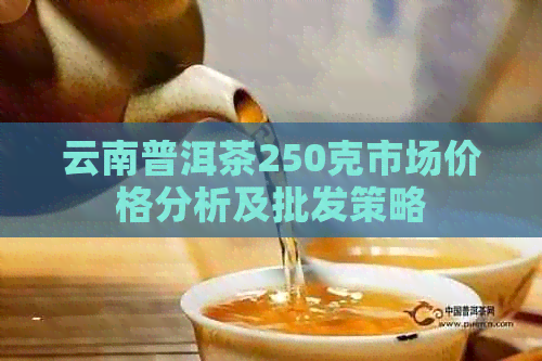 云南普洱茶250克市场价格分析及批发策略