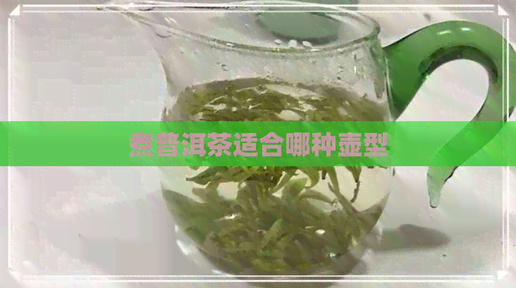 煮普洱茶适合哪种壶型