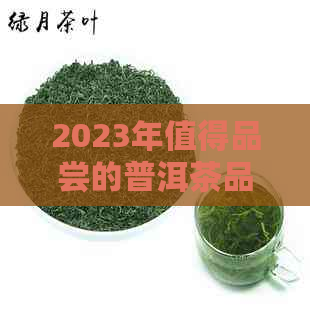 2023年值得品尝的普洱茶品种推荐：独特风味与越品质的完美结合