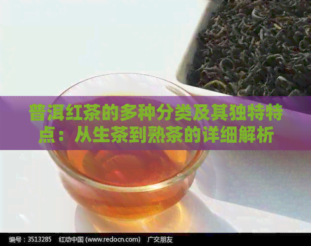 普洱红茶的多种分类及其独特特点：从生茶到熟茶的详细解析