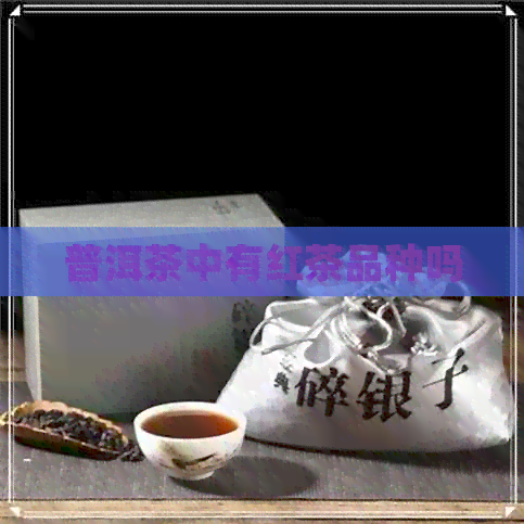 普洱茶中有红茶品种吗