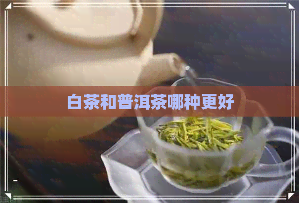 白茶和普洱茶哪种更好