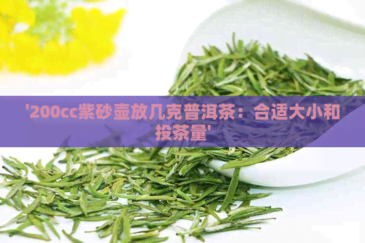 '200cc紫砂壶放几克普洱茶：合适大小和投茶量'