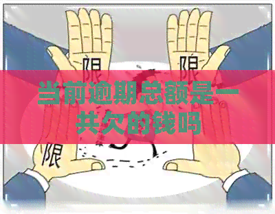 当前逾期总额是一共欠的钱吗