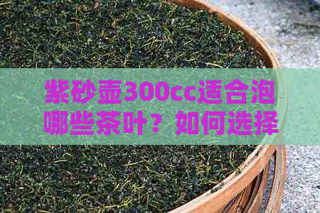 紫砂壶300cc适合泡哪些茶叶？如何选择和使用紫砂壶来品鉴各类茶叶？