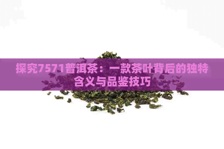 探究7571普洱茶：一款茶叶背后的独特含义与品鉴技巧