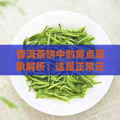 普洱茶饼中的黄点现象解析：这是正常还是异常？