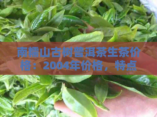 南糯山古树普洱茶生茶价格：2004年价格，特点与简介