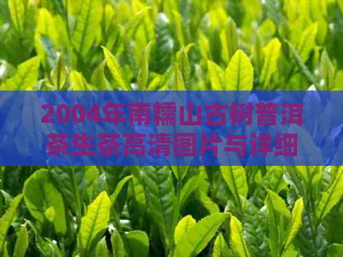 2004年南糯山古树普洱茶生茶高清图片与详细价格信息