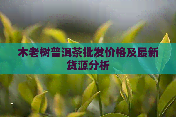 木老树普洱茶批发价格及最新货源分析