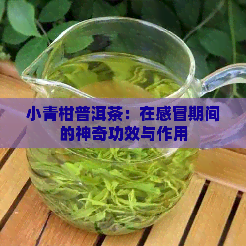 小青柑普洱茶：在感冒期间的神奇功效与作用