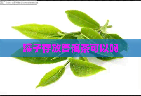 罐子存放普洱茶可以吗