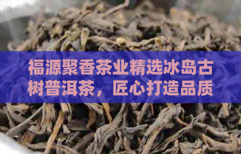 福源聚香茶业精选冰岛古树普洱茶，匠心打造品质之选