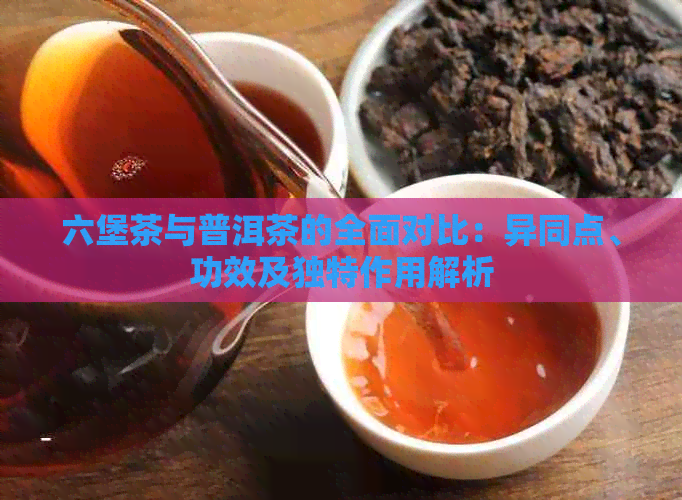 六堡茶与普洱茶的全面对比：异同点、功效及独特作用解析