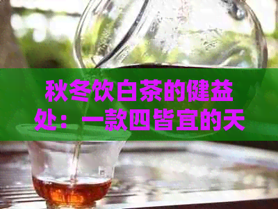 秋冬饮白茶的健益处：一款四皆宜的天然疗法