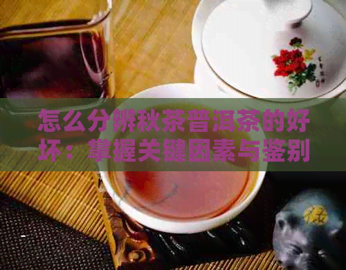 怎么分辨秋茶普洱茶的好坏：掌握关键因素与鉴别技巧