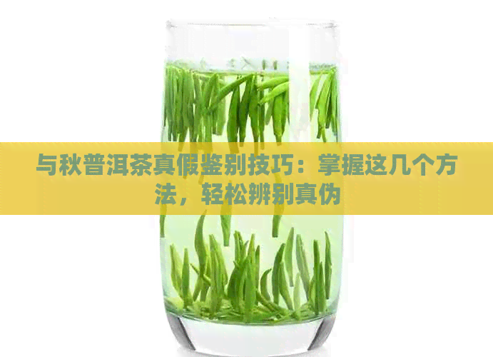 与秋普洱茶真假鉴别技巧：掌握这几个方法，轻松辨别真伪