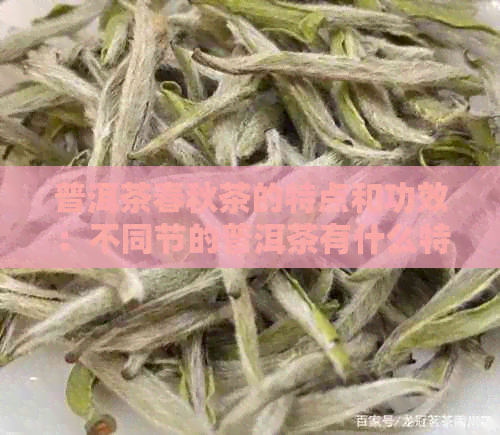 普洱茶春秋茶的特点和功效：不同节的普洱茶有什么特点？