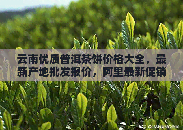 云南优质普洱茶饼价格大全，最新产地批发报价，阿里最新促销活动！