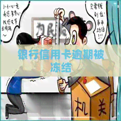 银行信用卡逾期被冻结