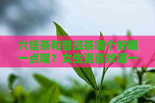 六堡茶和普洱茶哪个好喝一点呢？女生更喜欢哪一种？