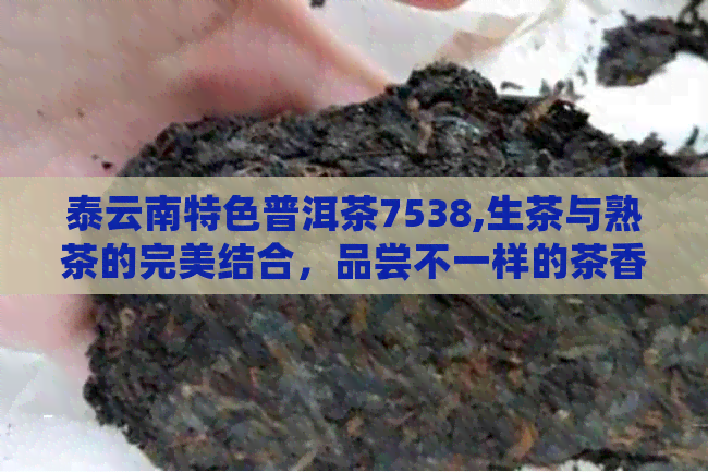 泰云南特色普洱茶7538,生茶与熟茶的完美结合，品尝不一样的茶香体验