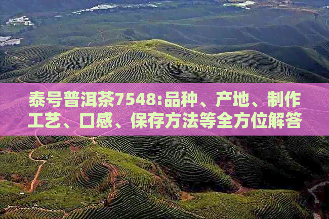 泰号普洱茶7548:品种、产地、制作工艺、口感、保存方法等全方位解答