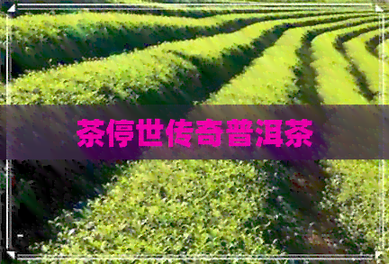 茶停世传奇普洱茶