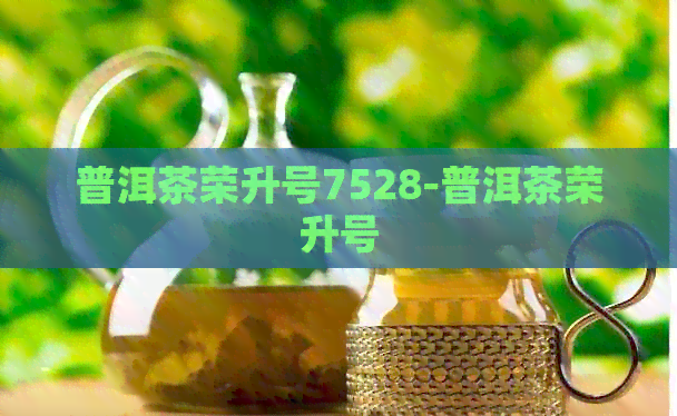 普洱茶荣升号7528-普洱茶荣升号