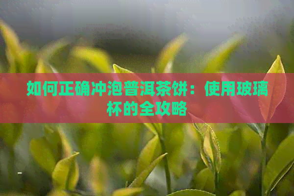 如何正确冲泡普洱茶饼：使用玻璃杯的全攻略