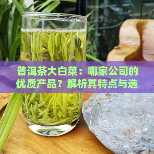 普洱茶大白菜：哪家公司的优质产品？解析其特点与选择建议