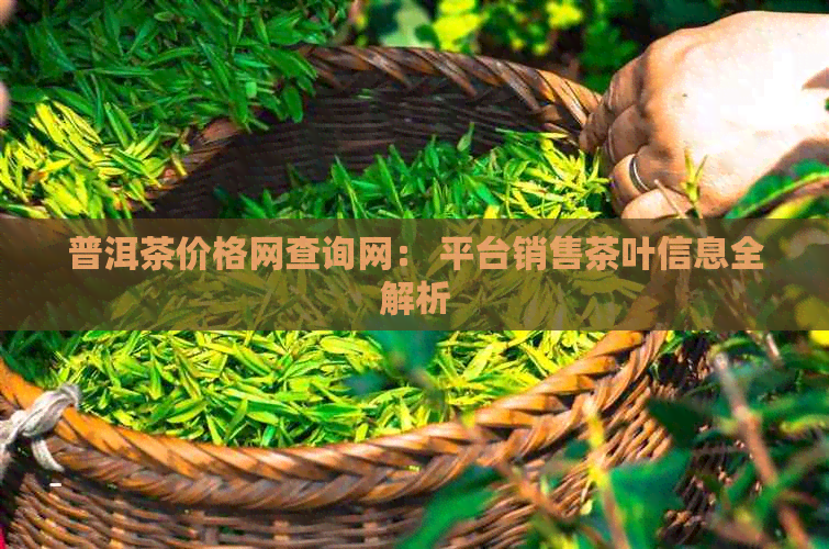 普洱茶价格网查询网： 平台销售茶叶信息全解析