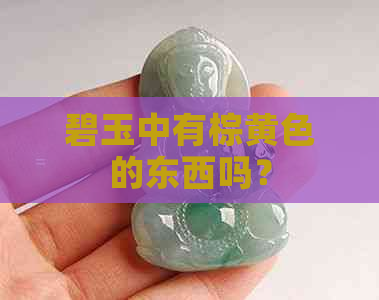 碧玉中有棕黄色的东西吗？