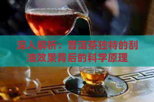 深入解析：普洱茶独特的刮油效果背后的科学原理