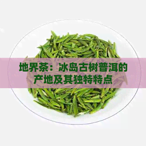 地界茶：冰岛古树普洱的产地及其独特特点