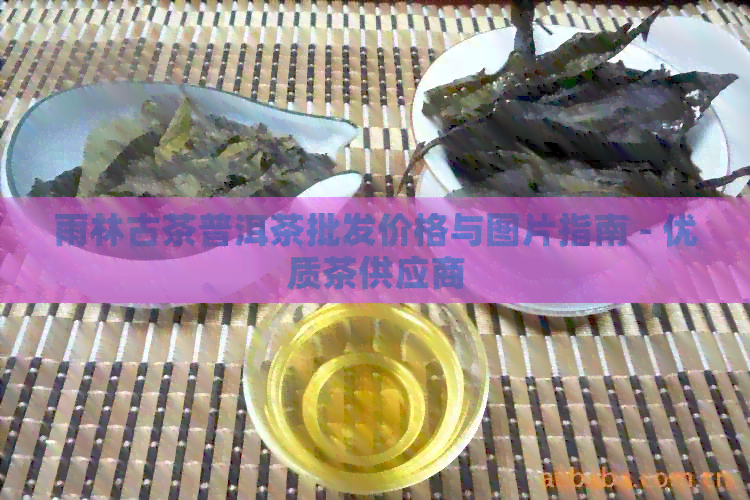 雨林古茶普洱茶批发价格与图片指南 - 优质茶供应商