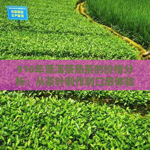 916年普洱茶熟茶的价格分析：从茶叶制作到口感体验全方位解读