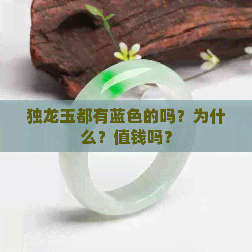 独龙玉都有蓝色的吗？为什么？值钱吗？