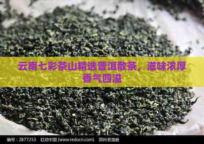 云南七彩茶山精选普洱散茶，滋味浓厚香气四溢