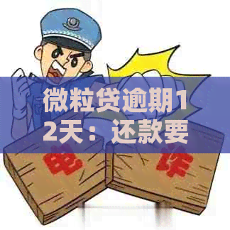 微粒贷逾期12天：还款要求是否过于苛刻？全额还款真的合法吗？