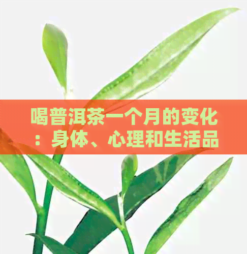 喝普洱茶一个月的变化：身体、心理和生活品质的全方位改善