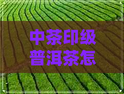 中茶印级普洱茶怎么样