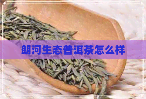 朗河生态普洱茶怎么样